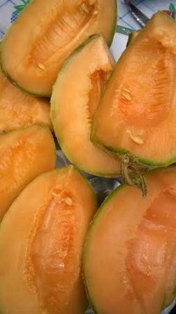 närbild fransk melon